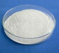 sodium carboxymethyl cellulose CMC 1