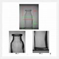 Defect Detection System For Glass Bottles 1