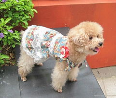 Sell Dog Skirt Laces Skirt for Lovely Pet