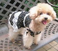 Sell Dog Skirt Laces Skirt for Lovely Pet 3