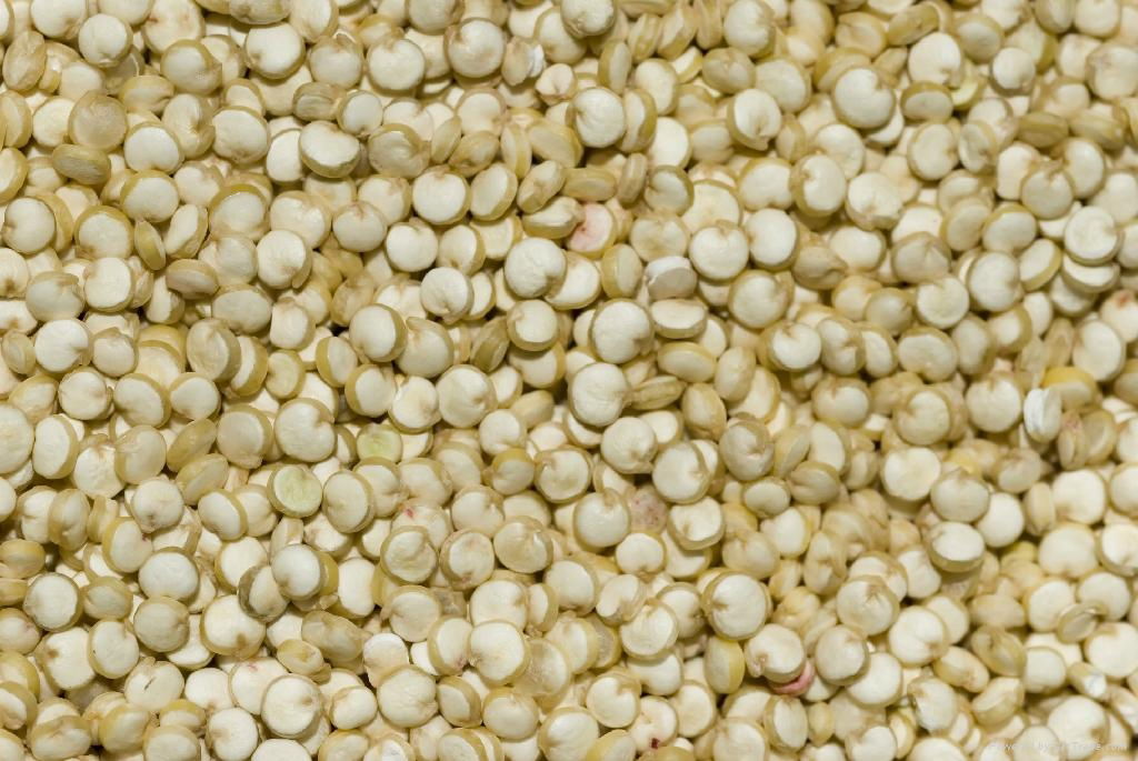 TOP QUALITY QUINOA SEEDS