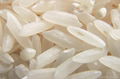 TOP QUALITY ORGANIC RICE