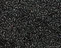 TOP QUALITY BLACK RICE 1