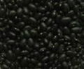 BEST QUALITY BLACK KIDNEY BEANS