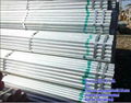 Galvanized Steel Pipe  2