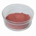 Ceramic Pigment-Coral Pink