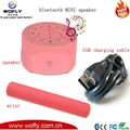 Bluetooth speaker