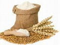 wheat flour