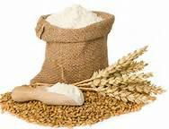 wheat flour