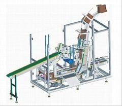 Case packing machine for pouch