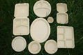 bowl,tray,plate,cutlery,tableware 2