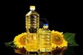 Refined Sunflower oil (Grade A)