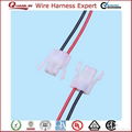 Electronic Components of China Wiring Harness 4