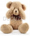 Plush Teddy Bear