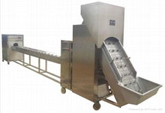 automatic onion peeling and root cutting machine 