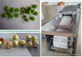 Fruit stone removing machine