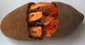 Monkey bread tree series baobab fruit powder baobab fruit oil