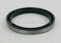 Hydraulic hby buffer seal for excavator cylinder