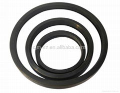 HBY Buffering Seal Ring