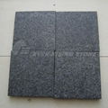 Granites Tile for Granite Wall Tiles and Granite Floor Tiles 2