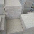 Granites Tile for Granite Wall Tiles and Granite Floor Tiles 5