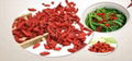 Ningxia Goji Berry(Lycium Chinese)