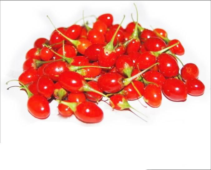 Dried Goji Berry Berries