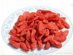 China GOJI BERRIES