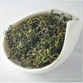 Chinese herbal medicine herbal tea Gynostemma Pentaphyllum 1