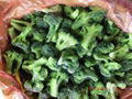 broccoli 1