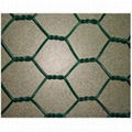 PVC coated hexagonal wire mesh