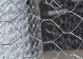 PVC coated hexagonal wire mesh 3