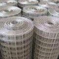 Galvanized welded wire mesh 1