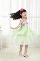 Children's wear chiffon dress of the