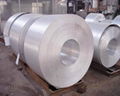 304 Stainless Steel Coil 