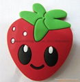 Fruit Fridge Magnet 2