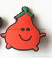 Fruit Fridge Magnet 5