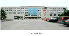 WEIFANG DYANAG AUTO PARKING CO.,LTD