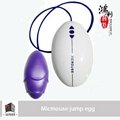 Micmouse waterproof remote wire