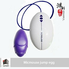 Micmouse waterproof remote wire vibrating massage egg 