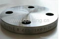 ASTM A105 Blind RF Flange 2