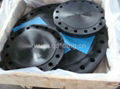 ASTM A105 Blind RF Flange 3