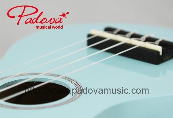 Color Series Ukulele guitar 4