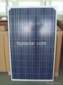 hot sale solar panel with best price and high quality 1