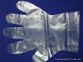 Disposable HDPE Gloves 2