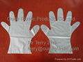 Disposable TPE Gloves 2