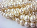 AAA size8~9mm fresh water Pearl Necklace