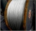 Hot-dipped galvanized pc wire 2