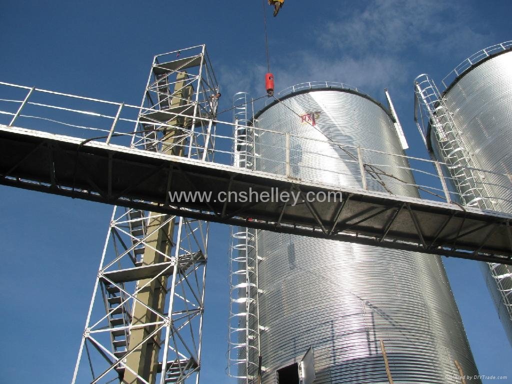 Storage rice 3500 tons flat bottom silo , grain silo price 2