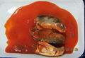 mackerel in tomato sauce 1